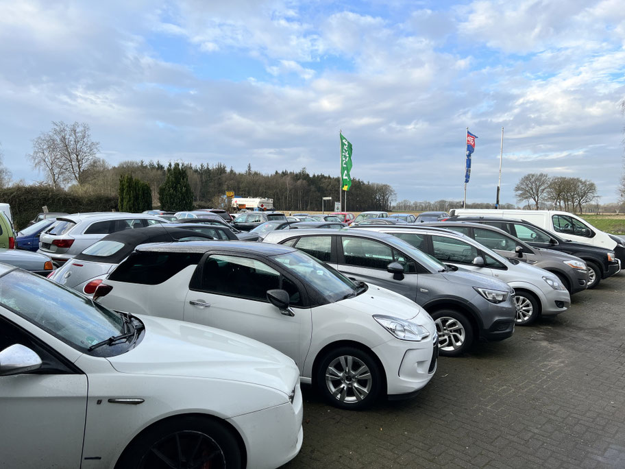 Fahrzeug bei Alex S Automobile
